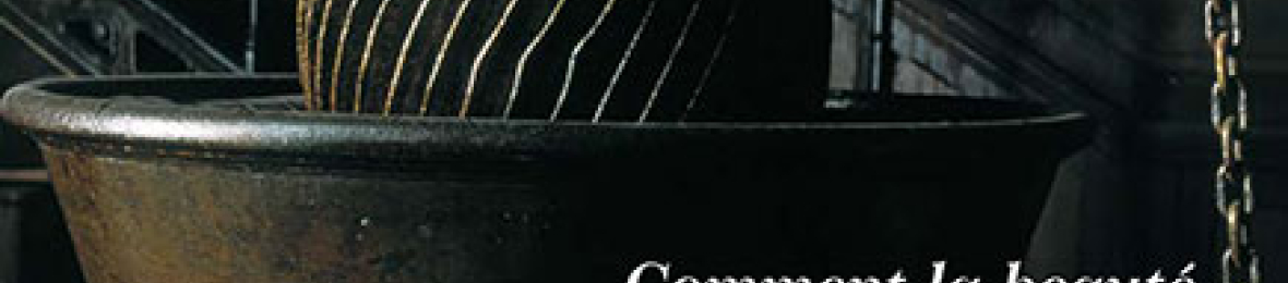 Couverture AIF numéro 46 - juin 2005