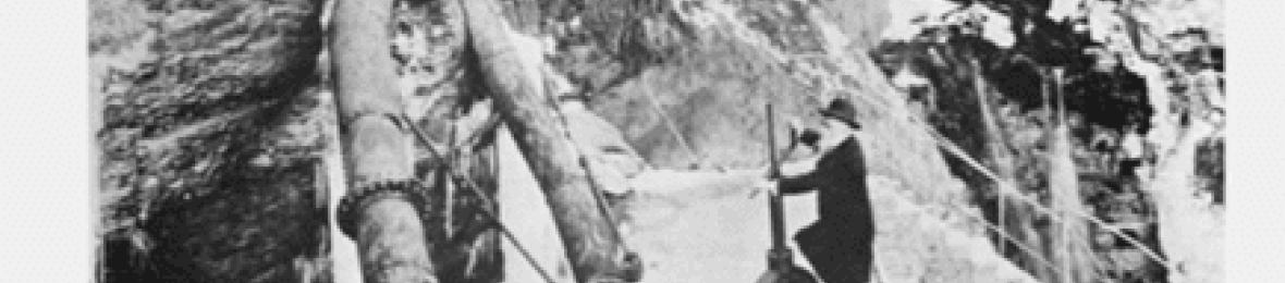 Numéro Hors série Actes ICCIH 1981